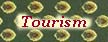 tourism